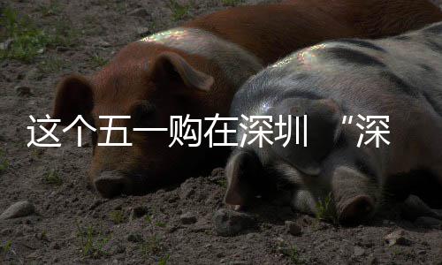 享生这个之约五一动开购在 畅促消活费活启深圳深圳